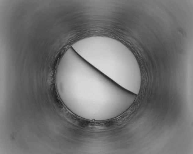 X0000113020559200908271036