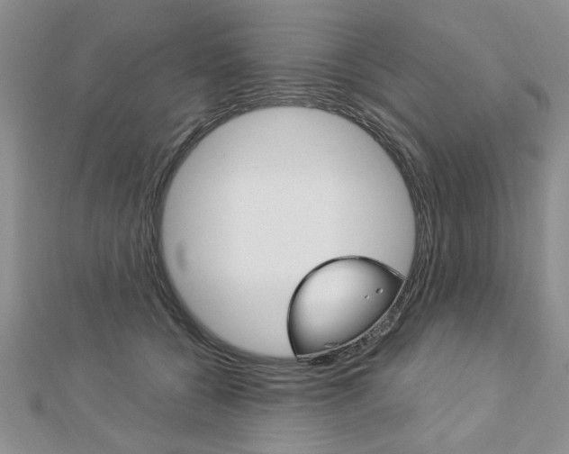 X0000113020560200908271036