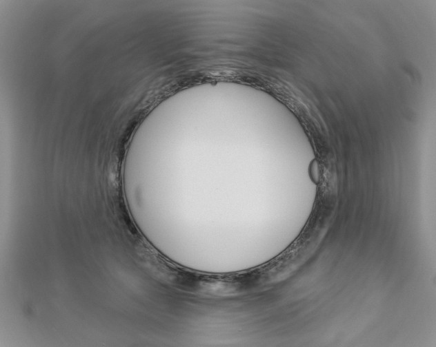 X0000113020561200908271036