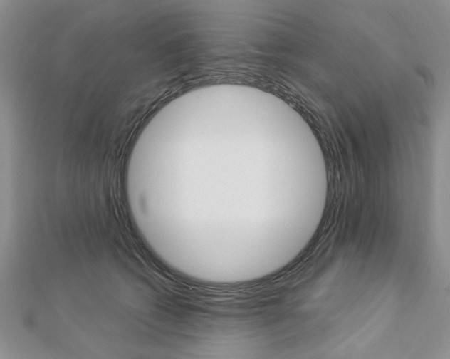 X0000113020562200908271036