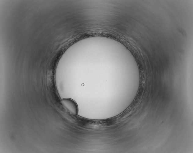X0000113020563200908271036