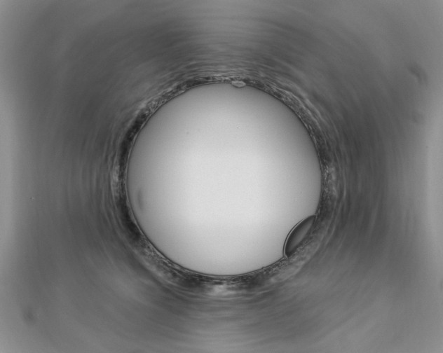 X0000113020564200908271036
