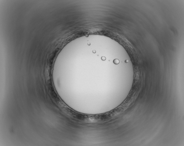 X0000113020565200908271036