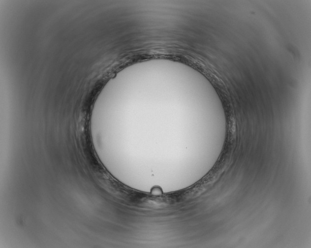 X0000113020567200908271036