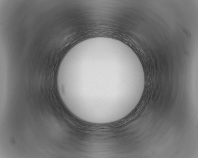 X0000113020568200908271036