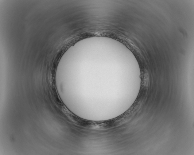 X0000113020569200908271036