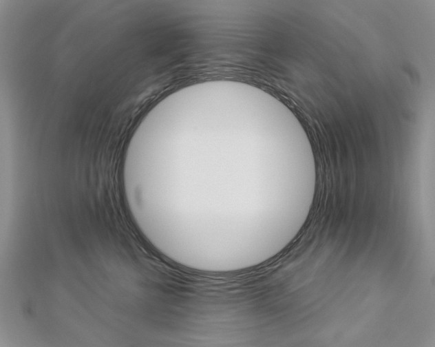 X0000113020570200908271036