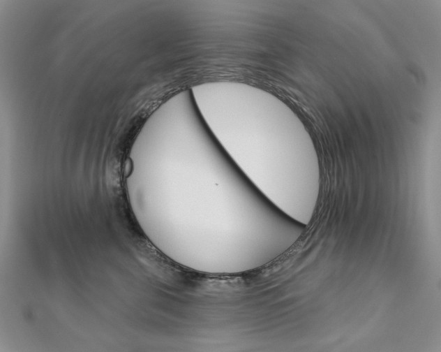 X0000113020571200908271036