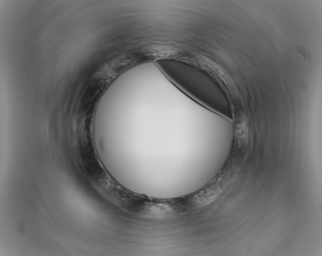 X0000113020572200908271036