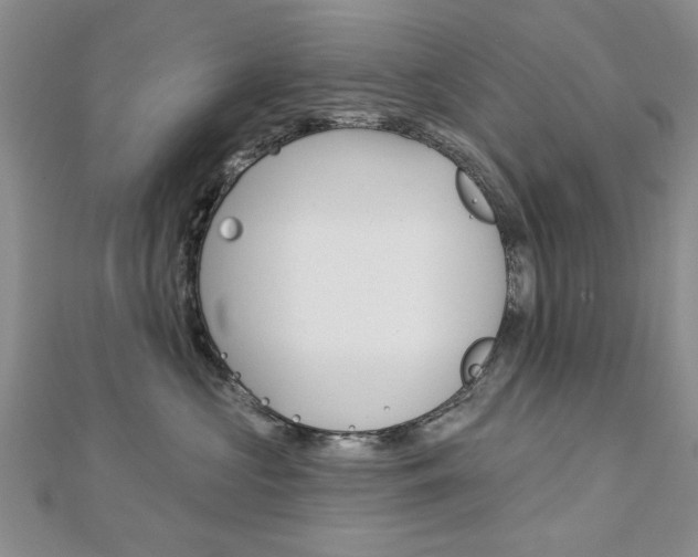 X0000113020573200908271036