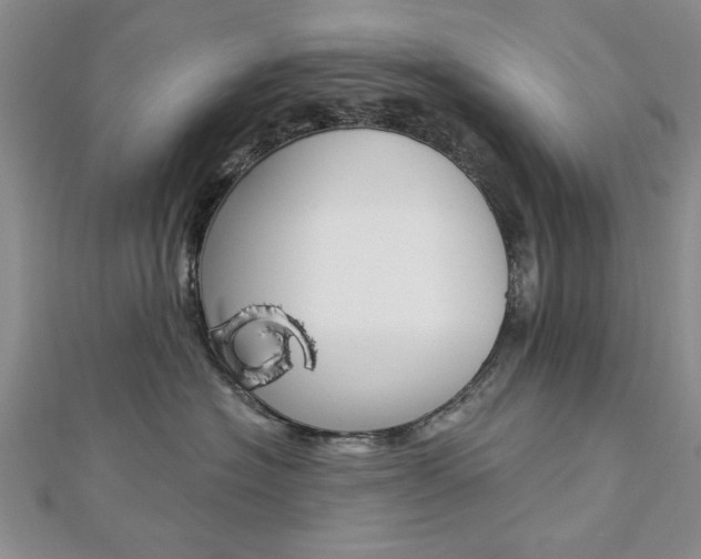 X0000113020574200908271036