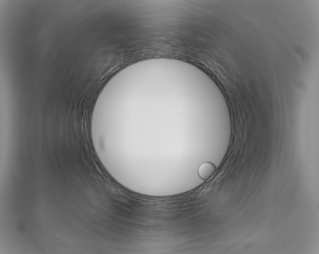 X0000113020576200908271036