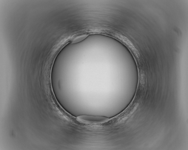 X0000113020577200908271036
