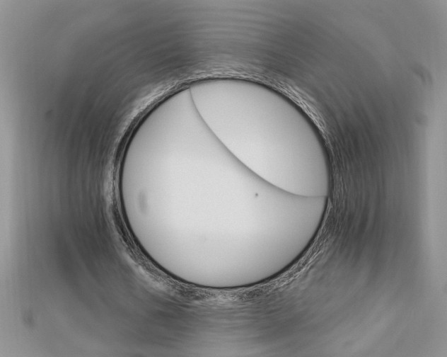 X0000113020578200908271036