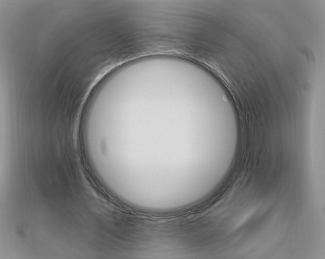 X0000113020579200908271036