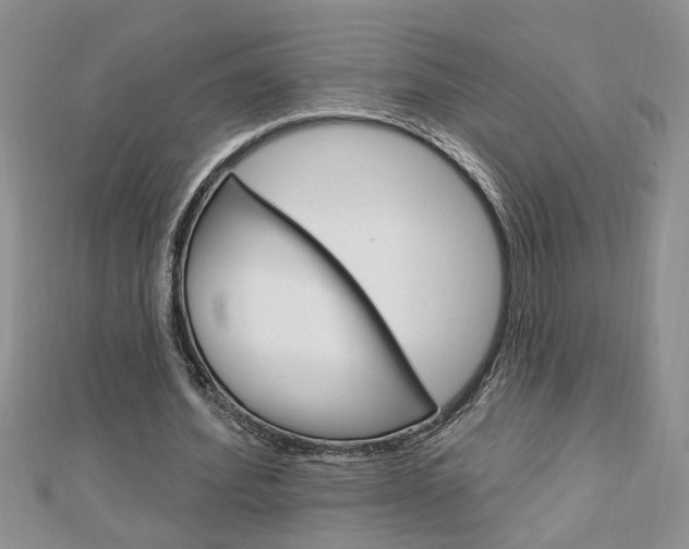 X0000113020580200908271036