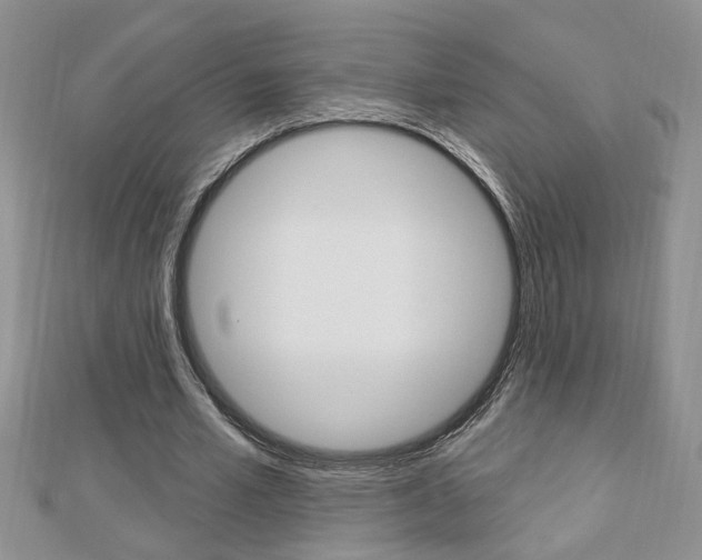 X0000113020581200908271036