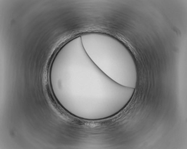 X0000113020582200908271036