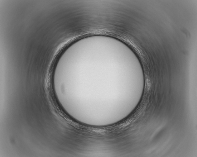 X0000113020583200908271036