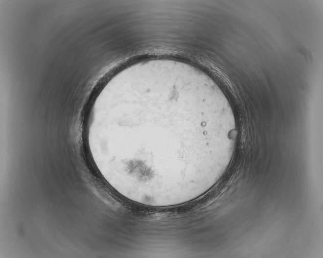 X0000113020584200908271036