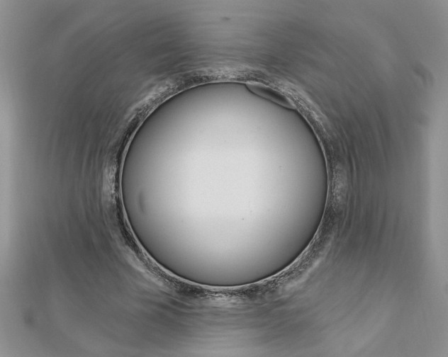 X0000113020585200908271036