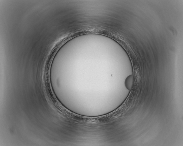 X0000113020587200908271036