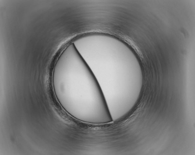 X0000113020588200908271036