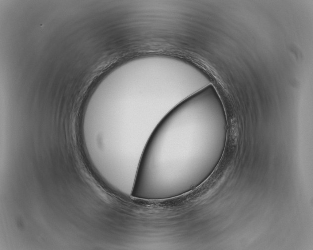 X0000113020589200908271035