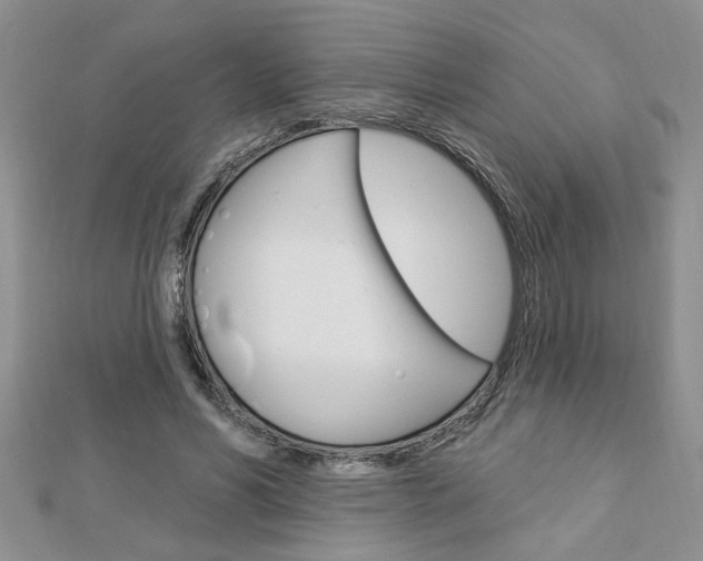 X0000113020590200908271035