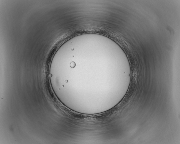 X0000113020591200908271035