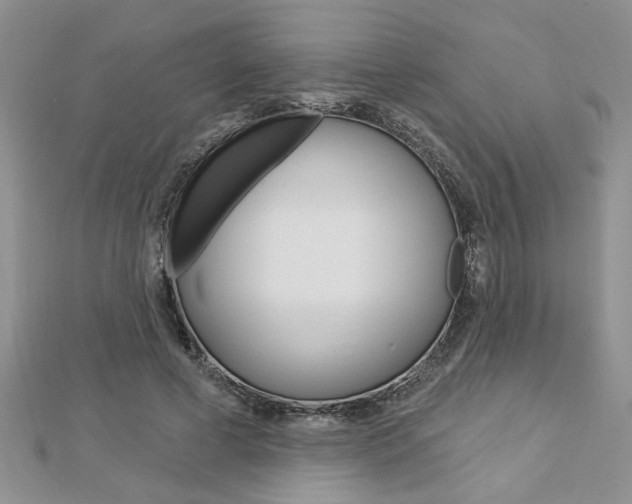 X0000113020593200908271035