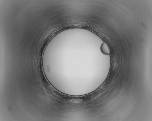 X0000113020595200908271035