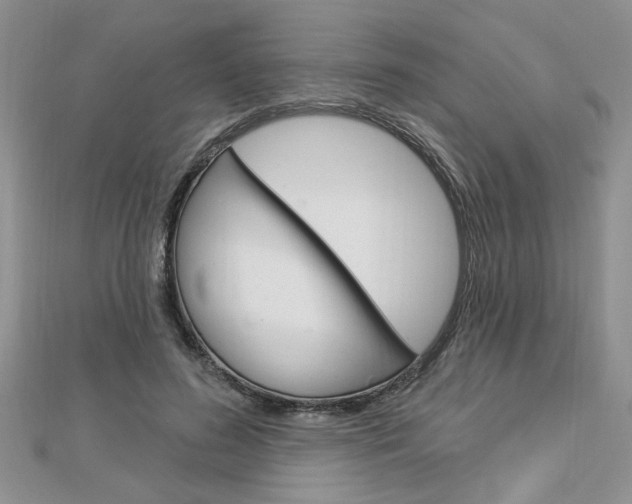 X0000113020596200908271035