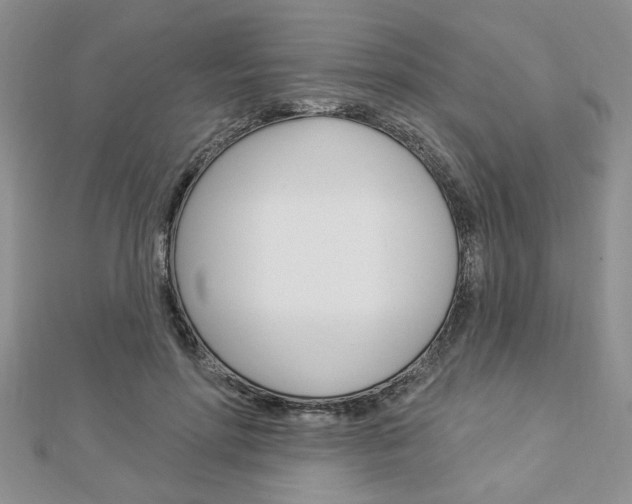 X0000113020598200908271035