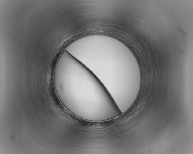X0000113020600200908271035