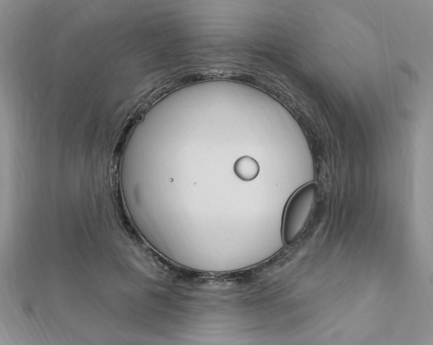 X0000113020601200908271035
