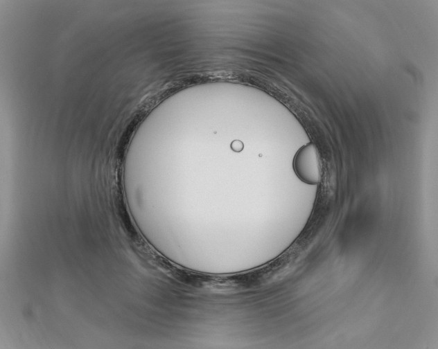 X0000113020603200908271035