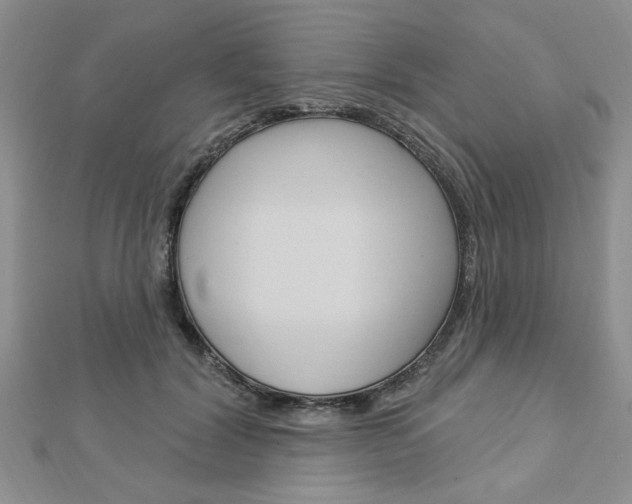 X0000113020604200908271035