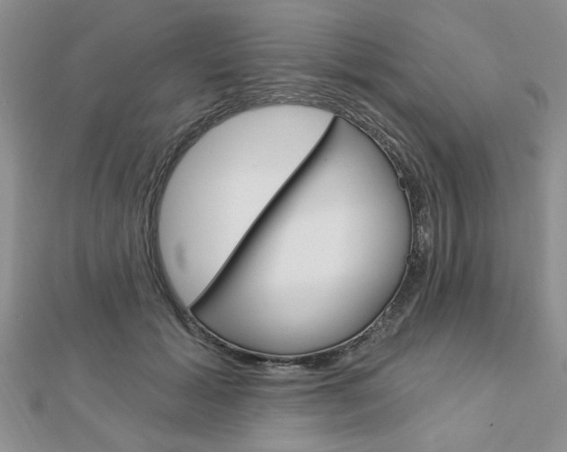 X0000113020605200908271035