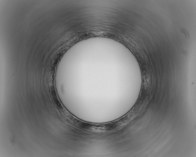 X0000113020606200908271035
