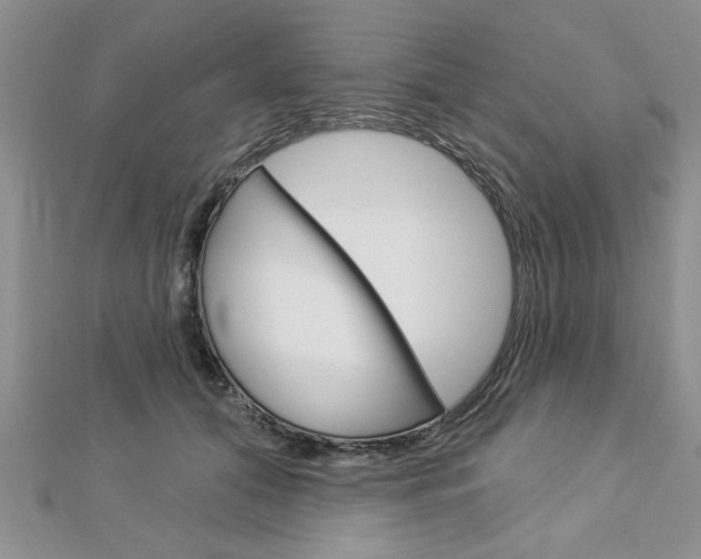 X0000113020608200908271035