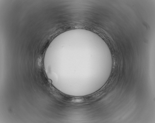 X0000113020610200908271035