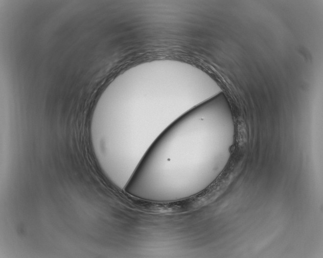 X0000113020613200908271035