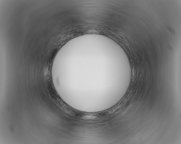 X0000113020614200908271035