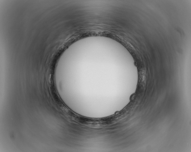 X0000113020615200908271035