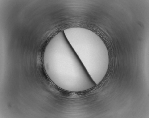 X0000113020616200908271035