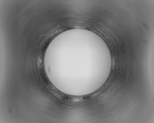 X0000113020618200908271035