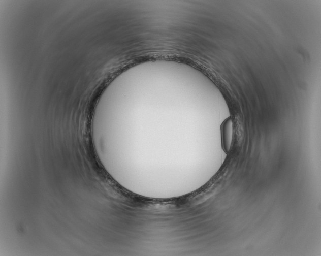 X0000113020619200908271035