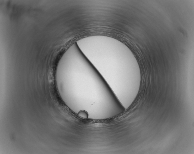 X0000113020620200908271035