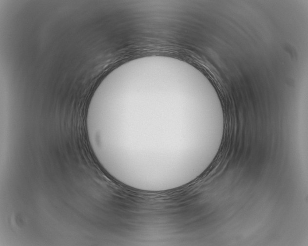 X0000113020621200908271035